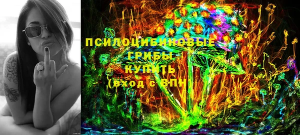 ПСИЛОЦИБИНОВЫЕ ГРИБЫ Белоозёрский